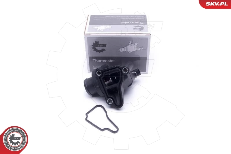 Thermostat, coolant